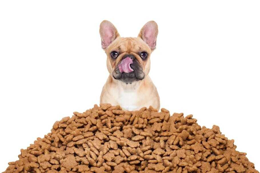 Junk food pour animaux