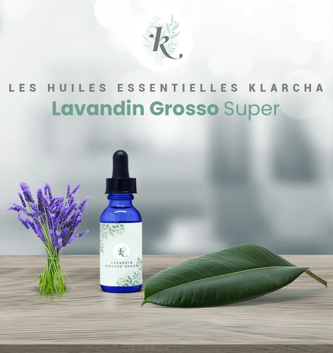 Lavandin grosso super bio