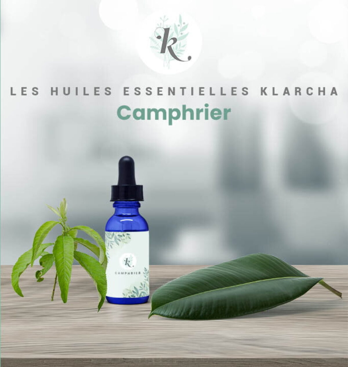 Huile Essentielle De Camphrier 100% Pure Et Naturelle - HEBBD, Marque Greenstorm