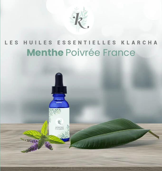 Menthe poivrée Française