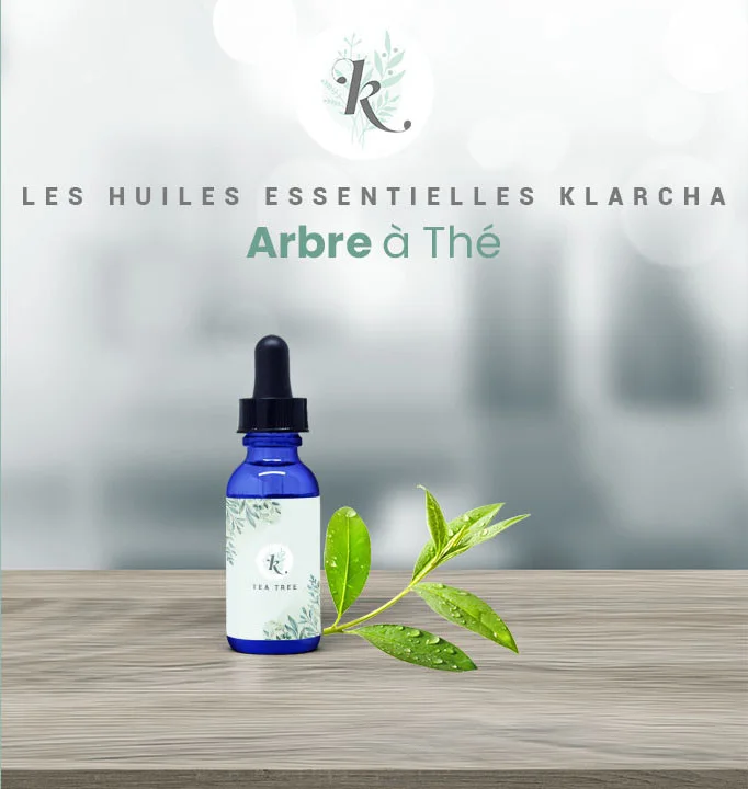 Tea Tree / Arbre à Thé