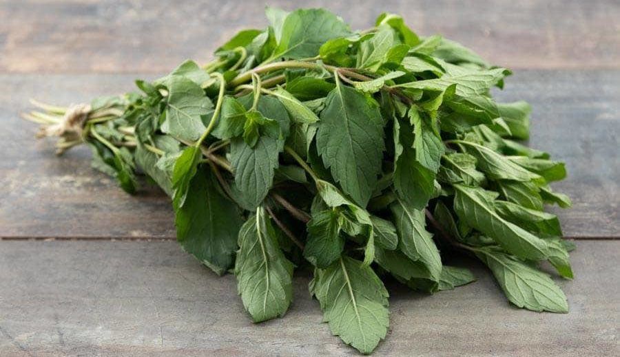 Huile Essentielle Menthe Citronnée